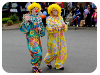 Ficifolia Festival, Drouin.