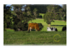 Rural Images