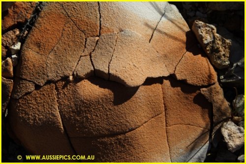 Decaying Rock at Lightning Ridge