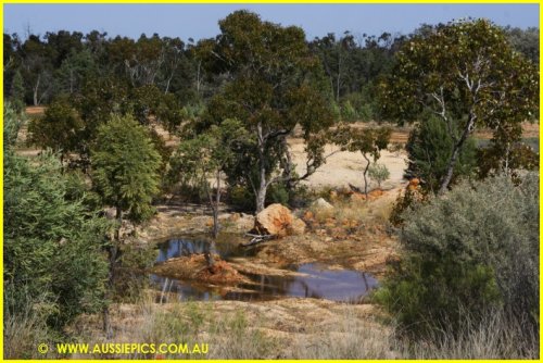 South of Cumborah.