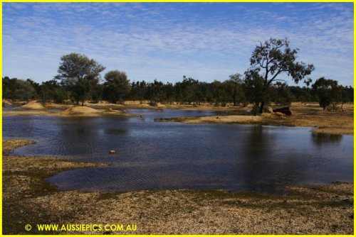 South of Cumborah.