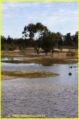 South of Cumborah.