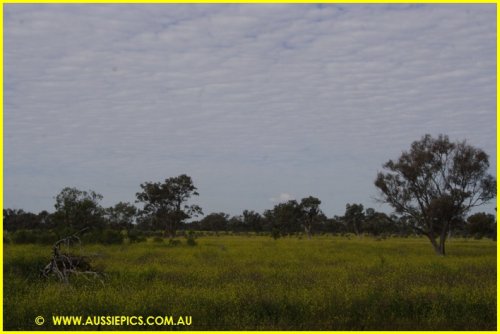 West of the Pilliga.