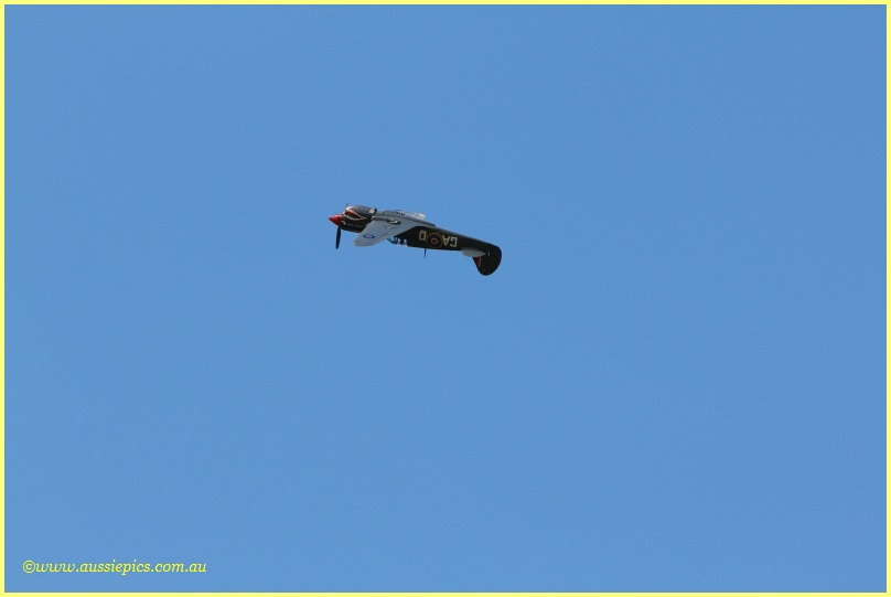 Alan Arthur and his Kitty Hawk again : Deni Ute Muster 2010