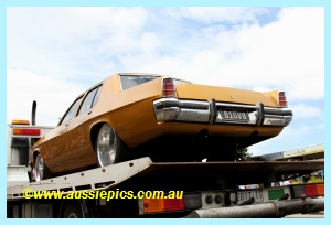 BIGV8 BIGV8