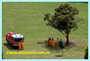 Drouin West Fire Brigade under a tree Drouin West Fire Brigade under a tree