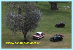 Historic cars at the Ficifolia festival Drouin 2011