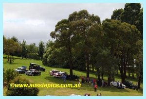 Historic cars at the Ficifolia festival Drouin 2011 Historic cars at the Ficifolia festival Drouin 2011