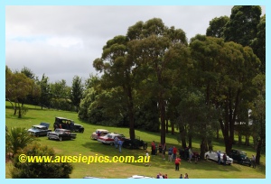 Historic cars at the Ficifolia festival Drouin 2011