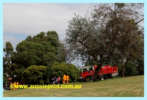 Drouin West Fire Brigade under a tree Drouin West Fire Brigade under a tree