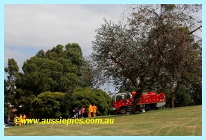 Drouin West Fire Brigade under a tree