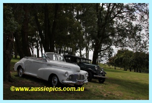 Historic cars at the Ficifolia festival Drouin 2011