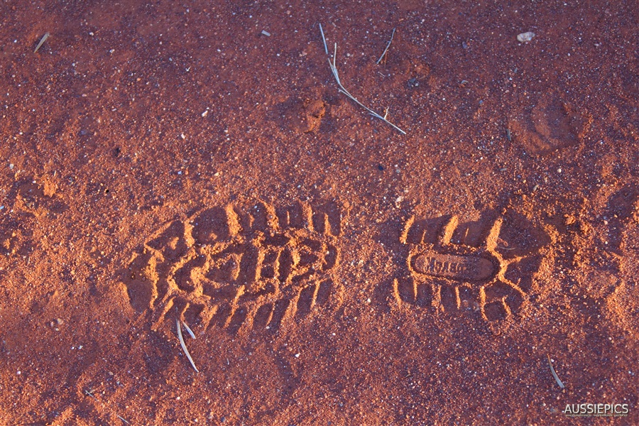 Redback bootprint in red outback dust