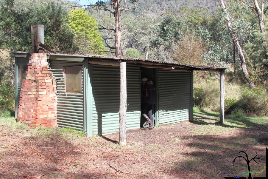 Wombat Creek Hut
