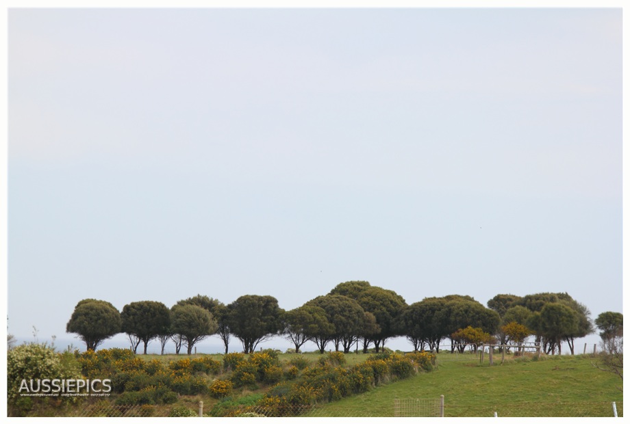 v8 Supercar shots from Phillip Island