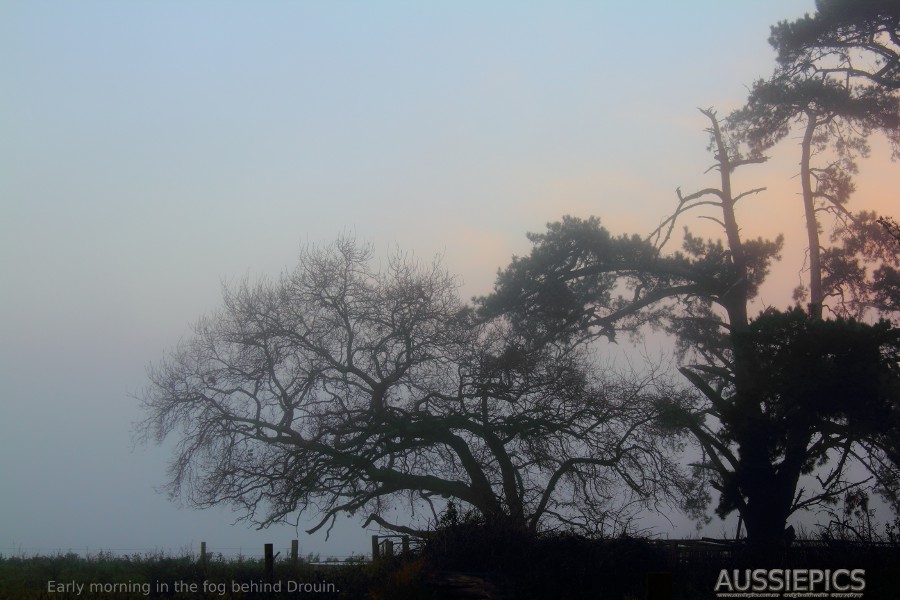 Misty morning on the hills behind Drouin.