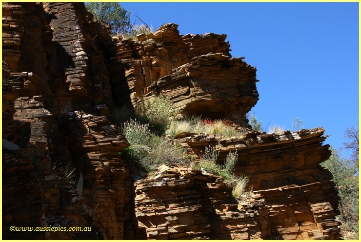 Aussiepics (Aussie Pics or OZIPIX) South Australia trip 2010