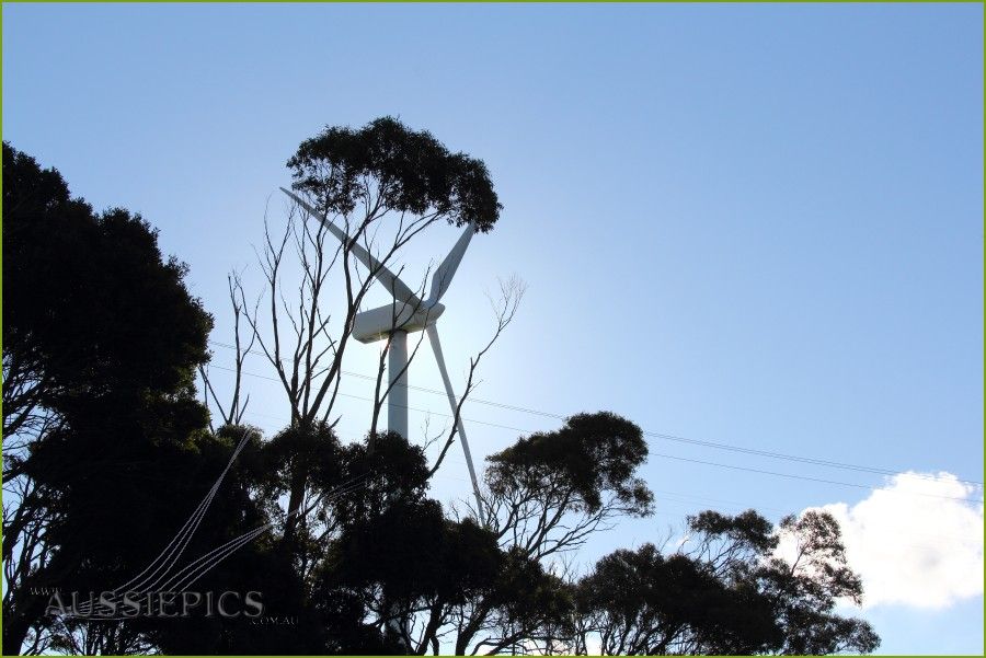 Windfarm shot, into the sun.