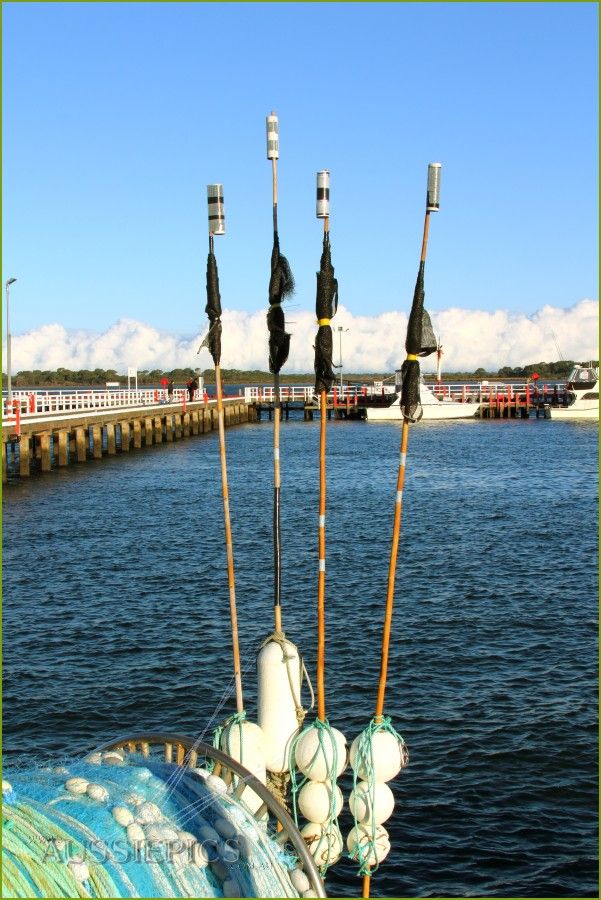 Reflectors on sticks