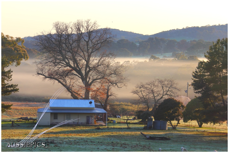 Strathbogies: Pete's place 